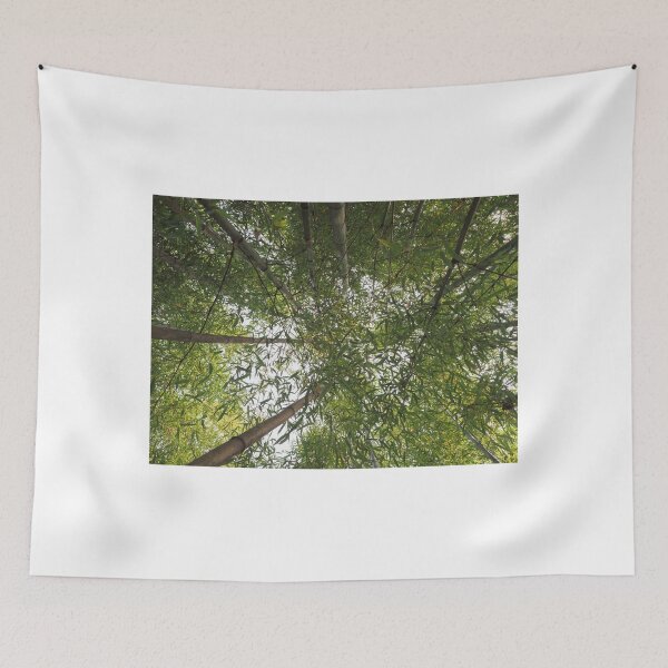 Item preview, bamboo trees designed and sold by europephotos.