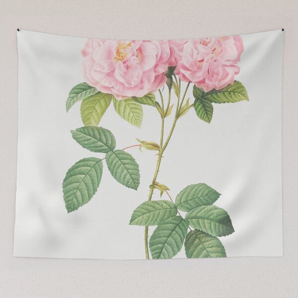 Item preview, Les Roses by Pierre-Joseph Redouté designed and sold by EsotericBotanic.