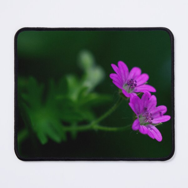 Item preview, Pink Herb Robert Miniature Geranium With Its Lovely Pearl Textured Petals designed and sold by Fleurtje Eliza.