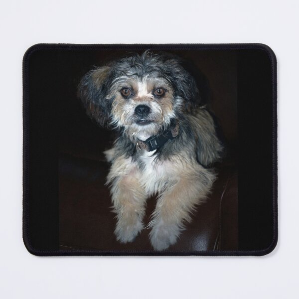 Item preview, Adorable Pup  designed and sold by Savannah Gibbs.