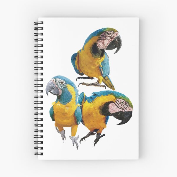 Item preview, The blue-yellow macaw designed and sold by obscurite.