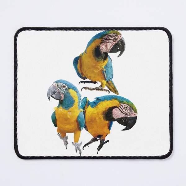 Item preview, The blue-yellow macaw designed and sold by obscurite.