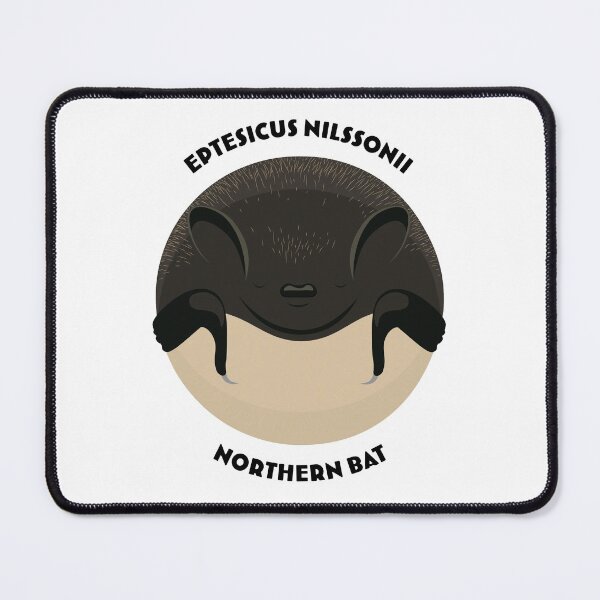 Item preview, Hibernating Northern bat drawing with scientific and English names designed and sold by MarisG.