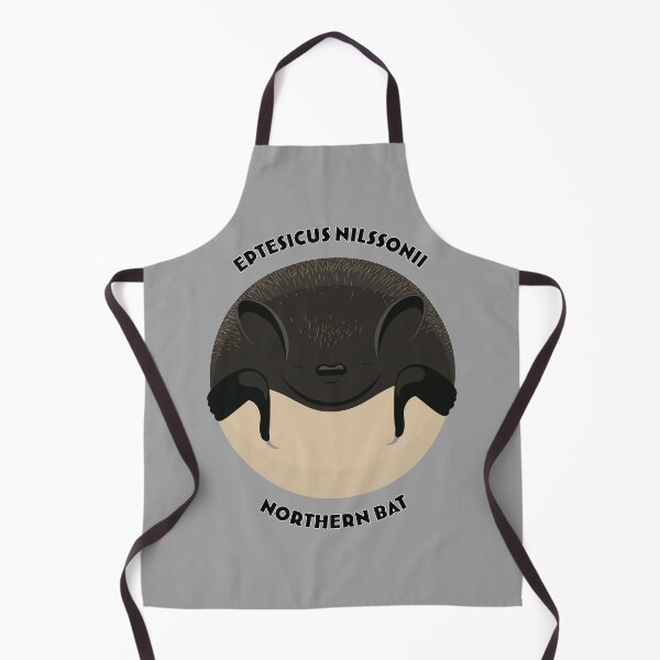 Item preview, Hibernating Northern bat drawing with scientific and English names designed and sold by MarisG.