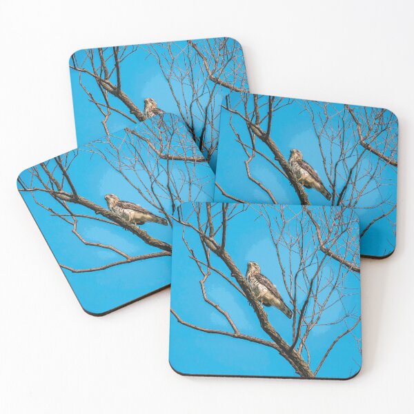 Item preview, Hawk watching from the trees - designed and sold by FelCastro.