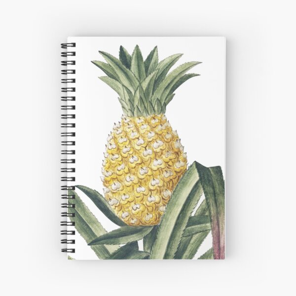 Vintage Pineapple