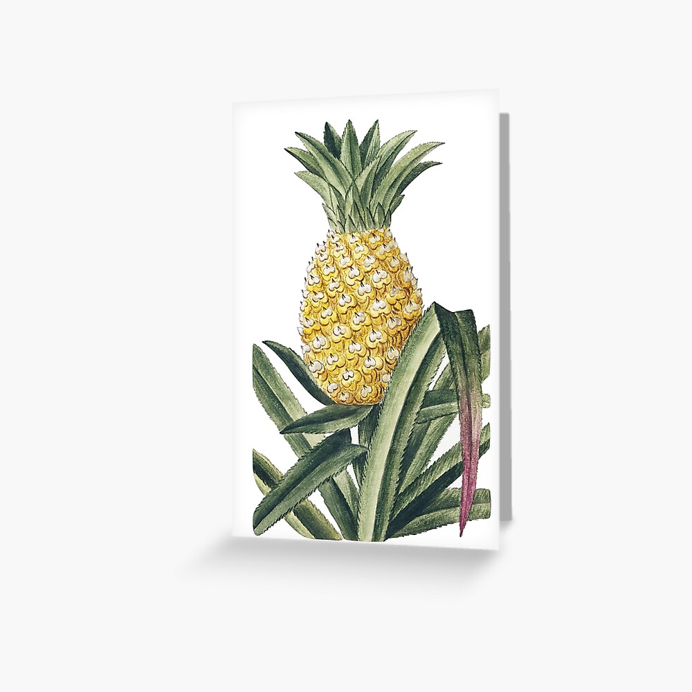 Vintage Pineapple