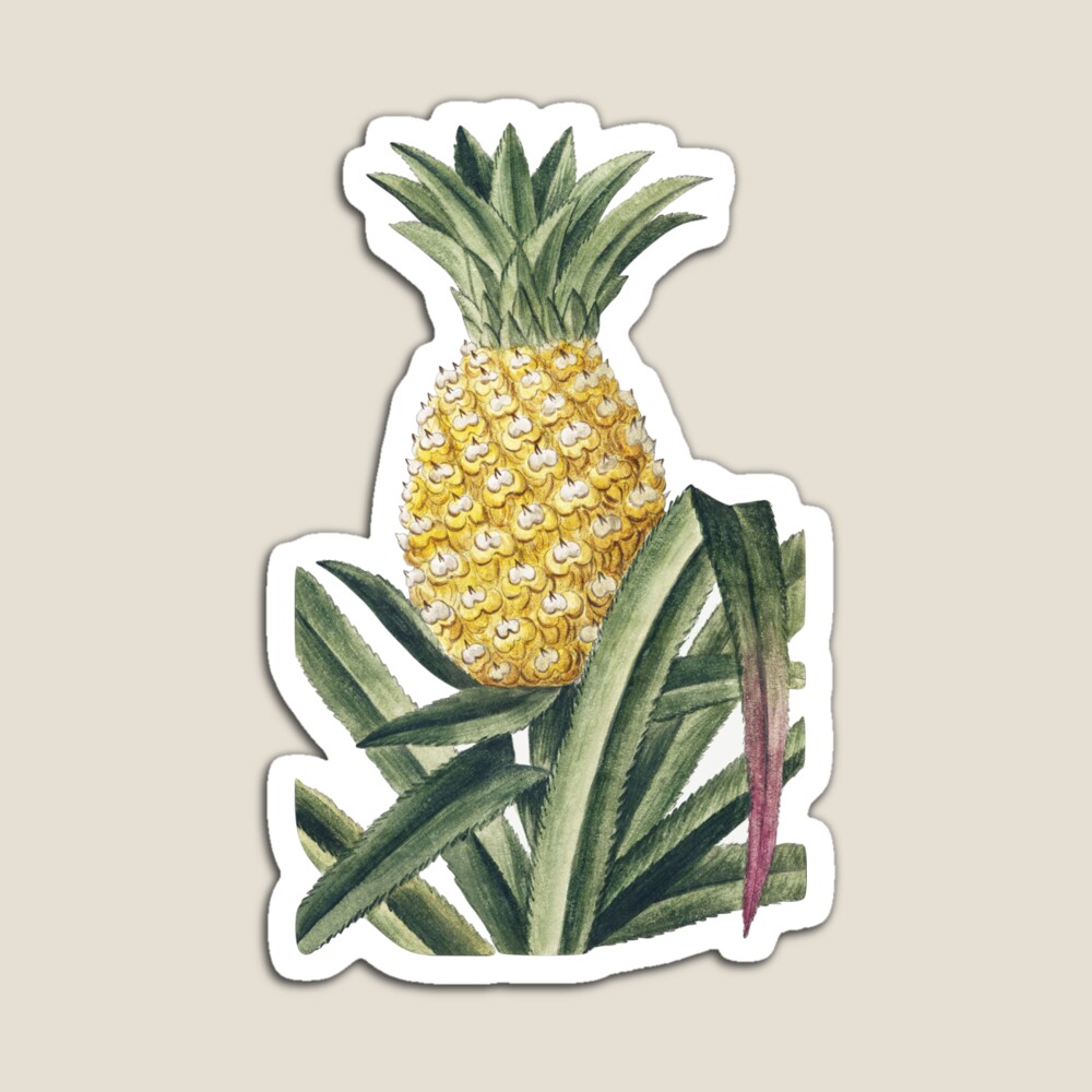Vintage Pineapple