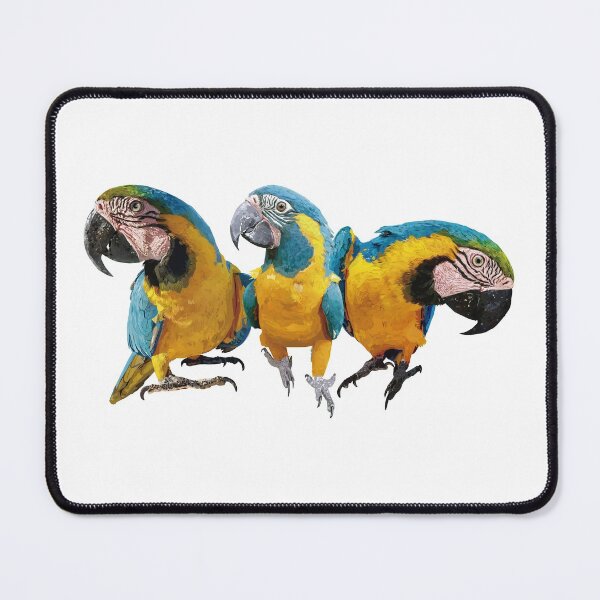 Item preview, The blue-yellow macaw designed and sold by obscurite.