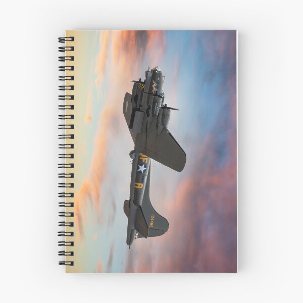 Artikelvorschau, Boeing B-17 Flying Fortress Sally B entworfen und verkauft von derekbeattie.