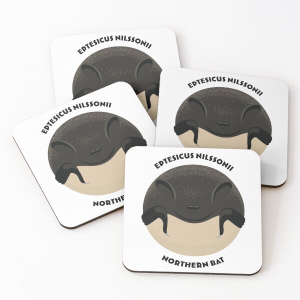 Item preview, Hibernating Northern bat drawing with scientific and English names designed and sold by MarisG.