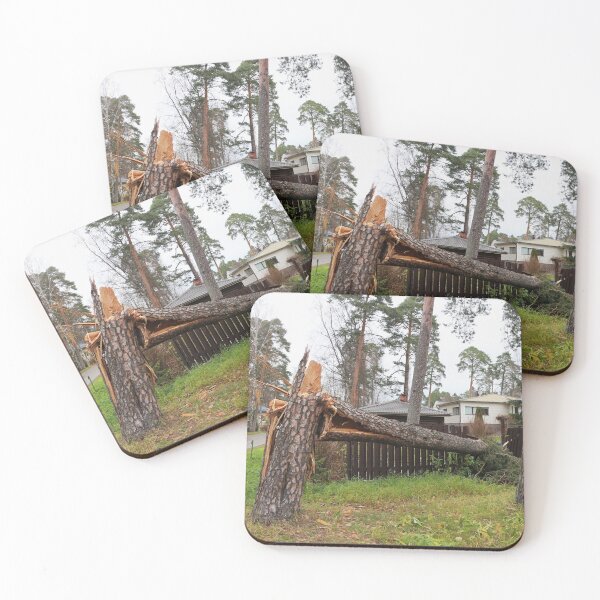 Item preview, huge pine tree is broken like a match by the storm wind designed and sold by mrivserg.