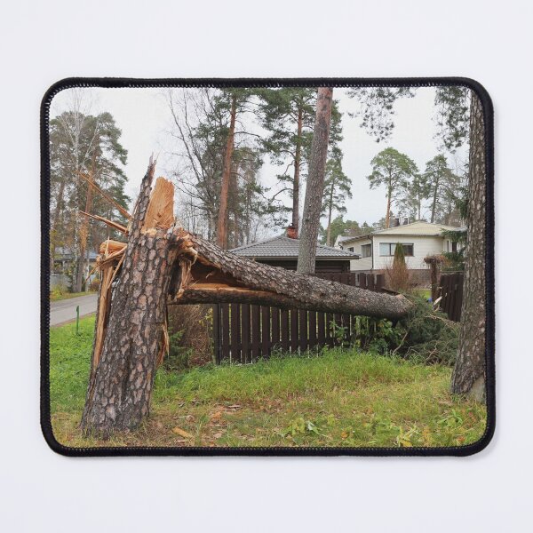 Item preview, huge pine tree is broken like a match by the storm wind designed and sold by mrivserg.
