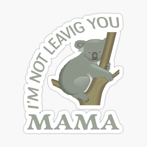 Idées cadeaux pour une nouvelle maman – Koalababycare