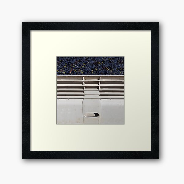 Nally Bin and Grapes - by Avril Thomas Framed Art Print