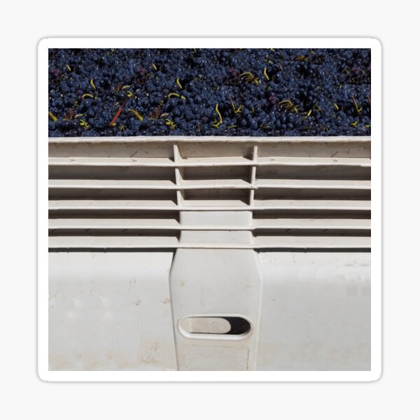 Item preview, Nally Bin and Grapes by Adelaide Artist Avril Thomas at Magpie Springs designed and sold by MagpieSprings.
