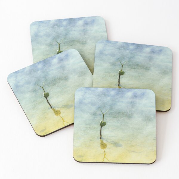 Item preview, Mangrove with Shadow and Reflection designed and sold by Debra Martz.