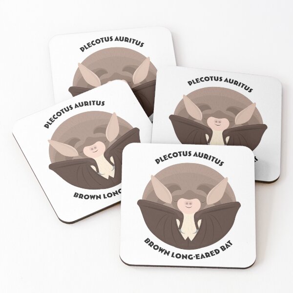 Item preview, Hibernating Brown Long-eared Bat drawing with scientific and English names designed and sold by MarisG.