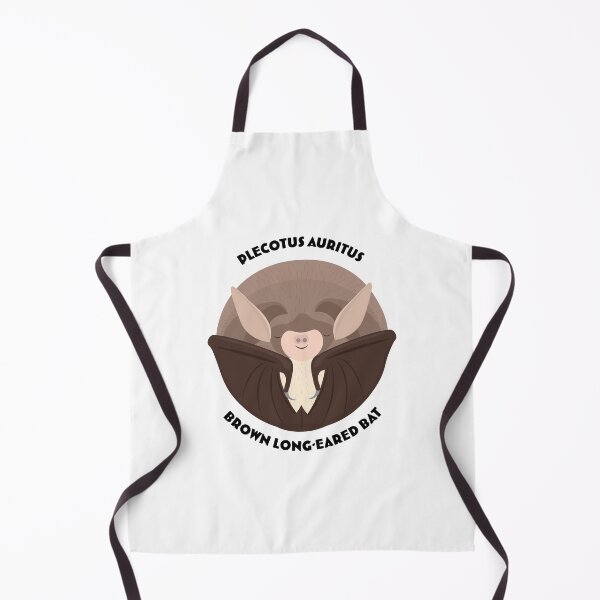 Item preview, Hibernating Brown Long-eared Bat drawing with scientific and English names designed and sold by MarisG.