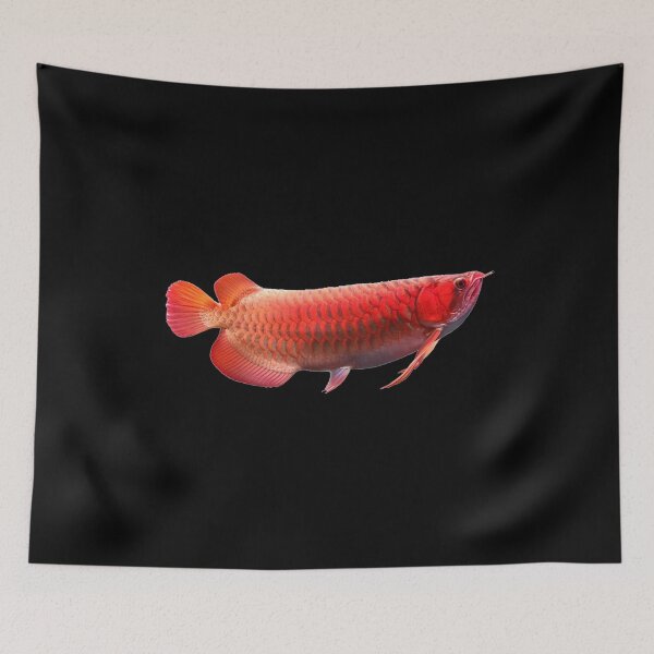 Item preview, Asian arowana -  For all Arowana lovers designed and sold by AquariumExp.