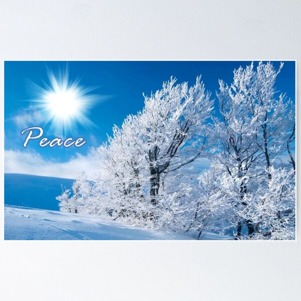 Peace Winter Decor Poster