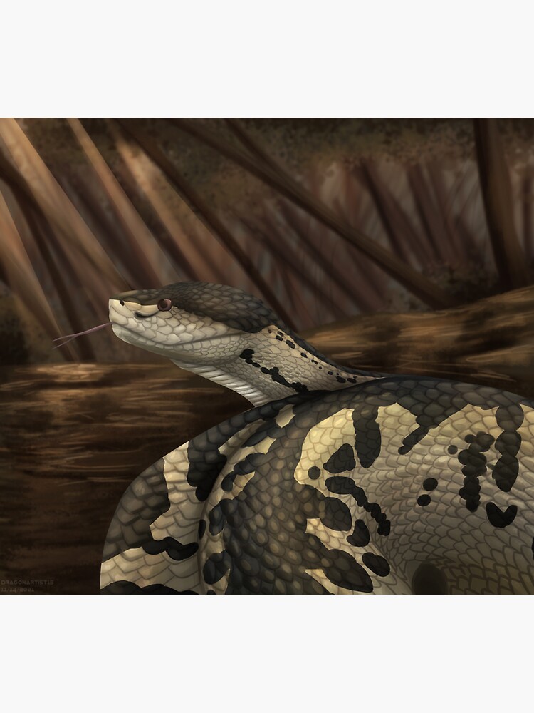 Bushmaster Snake 3D model - Download Animals on
