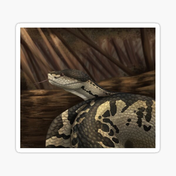 Bushmaster Snake 3D model - Download Animals on