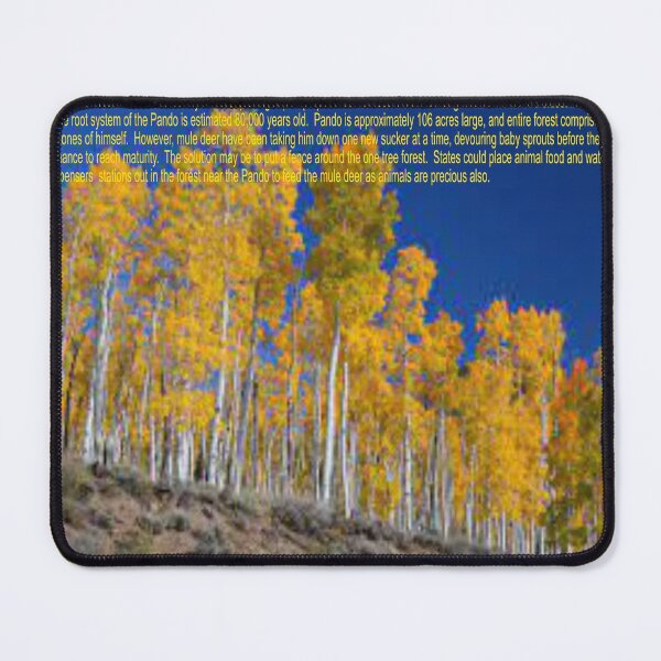 Item preview, Pando Art designed and sold by Alicefish.