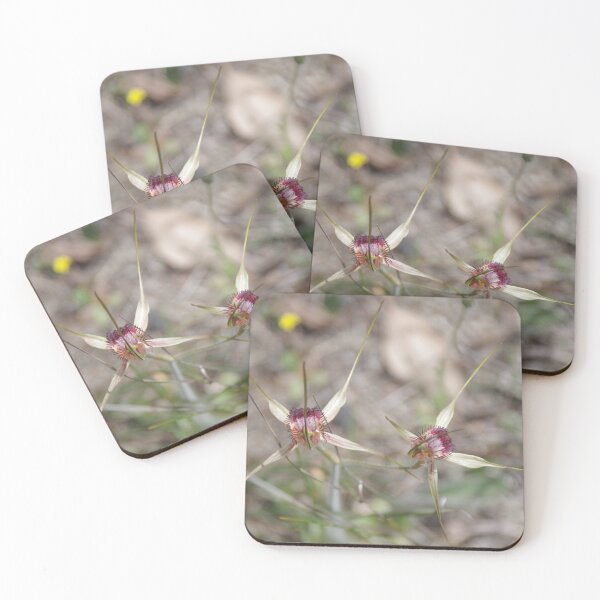 Item preview, White Spider Orchid designed and sold by lezvee.