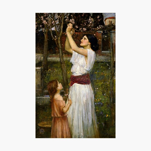 Item preview, John William Waterhouse "Gathering Almond Blossoms" designed and sold by Alexandra Dahl.