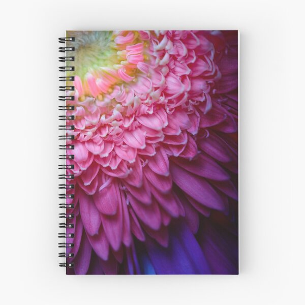 Item preview, Rainbow Zinnia designed and sold by SpikeFlutie.