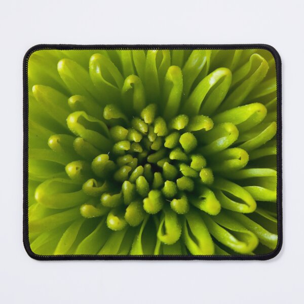 Item preview, Carnation Explosion designed and sold by NearScapes.