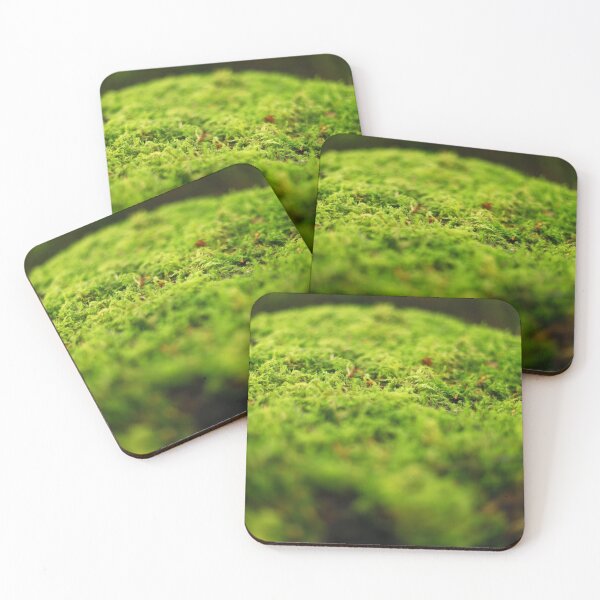 Item preview, The fascinating beauty of moss designed and sold by Sara Sanchez PHOTO.