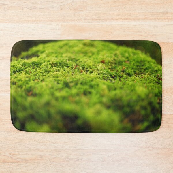 Item preview, The fascinating beauty of moss designed and sold by Sara Sanchez PHOTO.