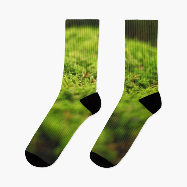 Item preview, The fascinating beauty of moss designed and sold by Sara Sanchez PHOTO.