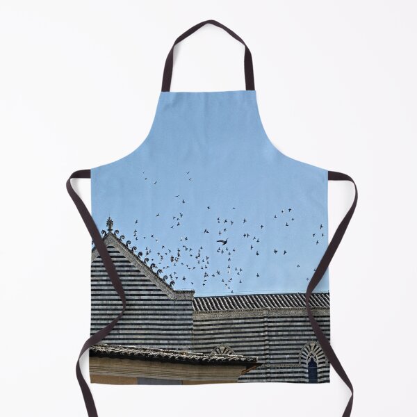 Item preview, Orvieto Cathedral Lateral Facade Birds Flying designed and sold by Anna Lemos.