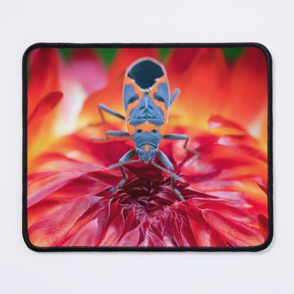 Item preview, Lava Bug Guardian of the Portal designed and sold by dlamb.