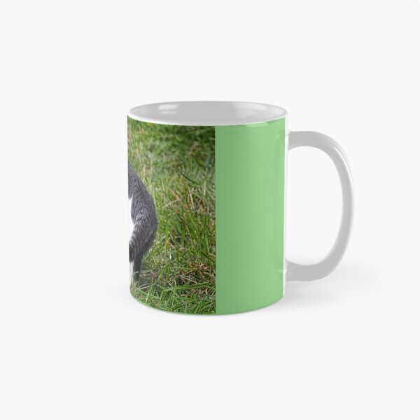 Item preview, Ringtailed Kitty..........East Devon UK designed and sold by lynn carter.