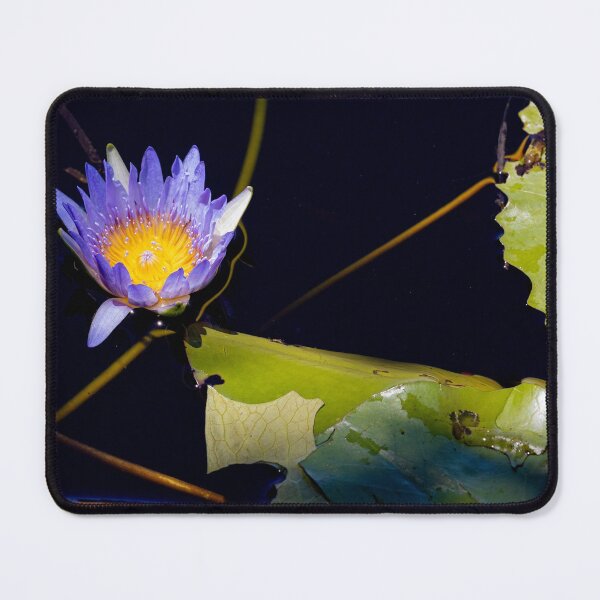 Item preview, Alone designed and sold by Marylou Badeaux.