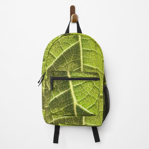 Item preview, NS Green City Map IA.© designed and sold by OmarHernandez.