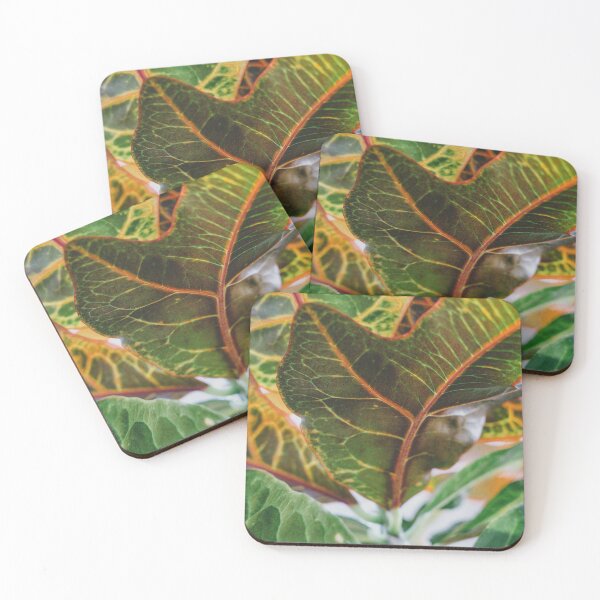 Item preview, Codiaeum leaves close-up designed and sold by anstey.