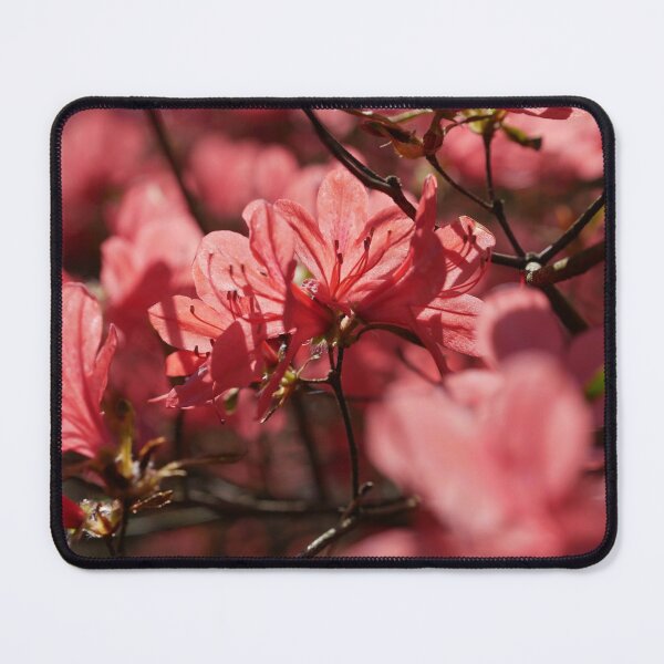 Item preview, Azalea Trail Flowers designed and sold by VarietyYOU.