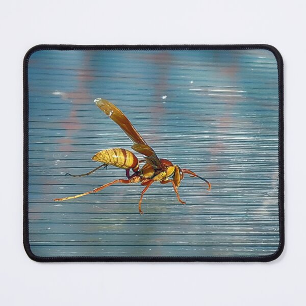 Item preview, NS Wasp IA.© designed and sold by OmarHernandez.