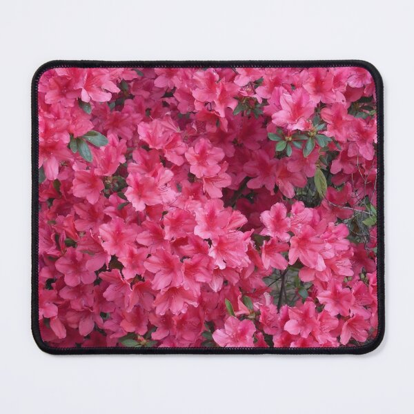 Item preview, Azalea Trail designed and sold by VarietyYOU.