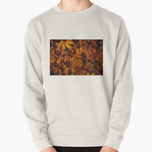 autumn leaf fall  Pullover Sweatshirt