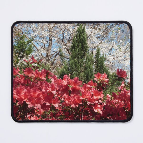 Item preview, Azalea Trail designed and sold by VarietyYOU.