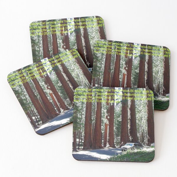 Item preview, Giant Sequoia Tree Art designed and sold by Alicefish.