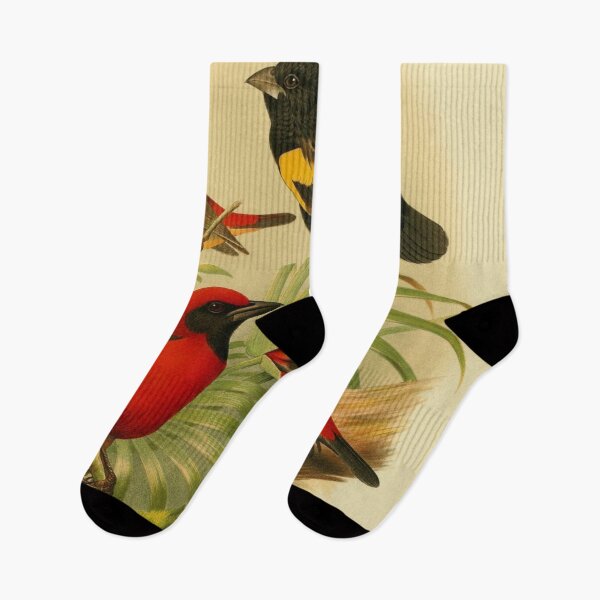 Item preview, Four Birds of Africa designed and sold by laguitan10.