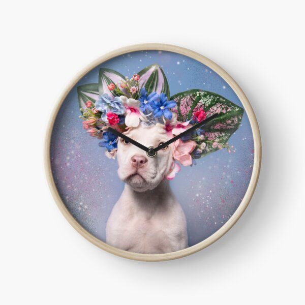 Pit Bull Flower Power, Apollo Clock