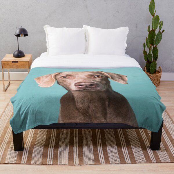 Item preview, Rello there! (Weimaraner) designed and sold by SophieGamand.